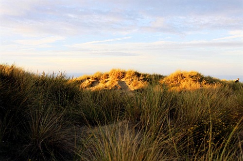 Nieuwpoort016
