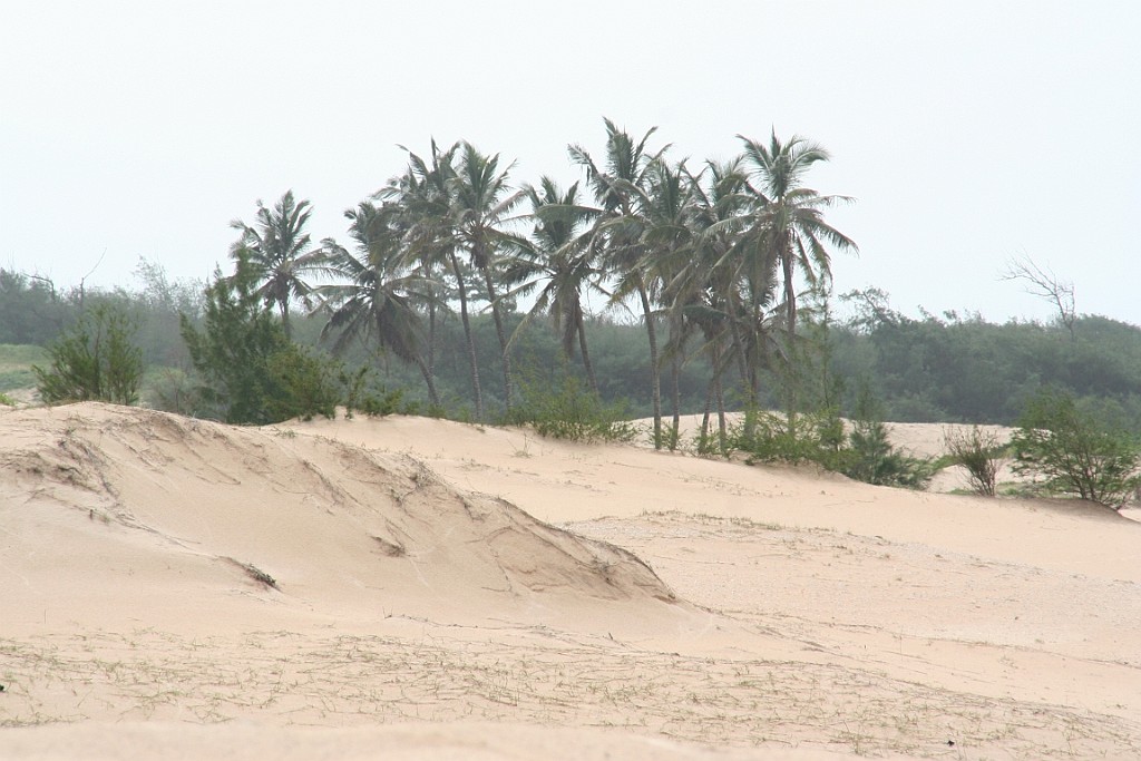 Senegal093.JPG
