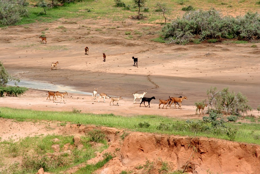 Senegal171.JPG - Ongerepte vlakten