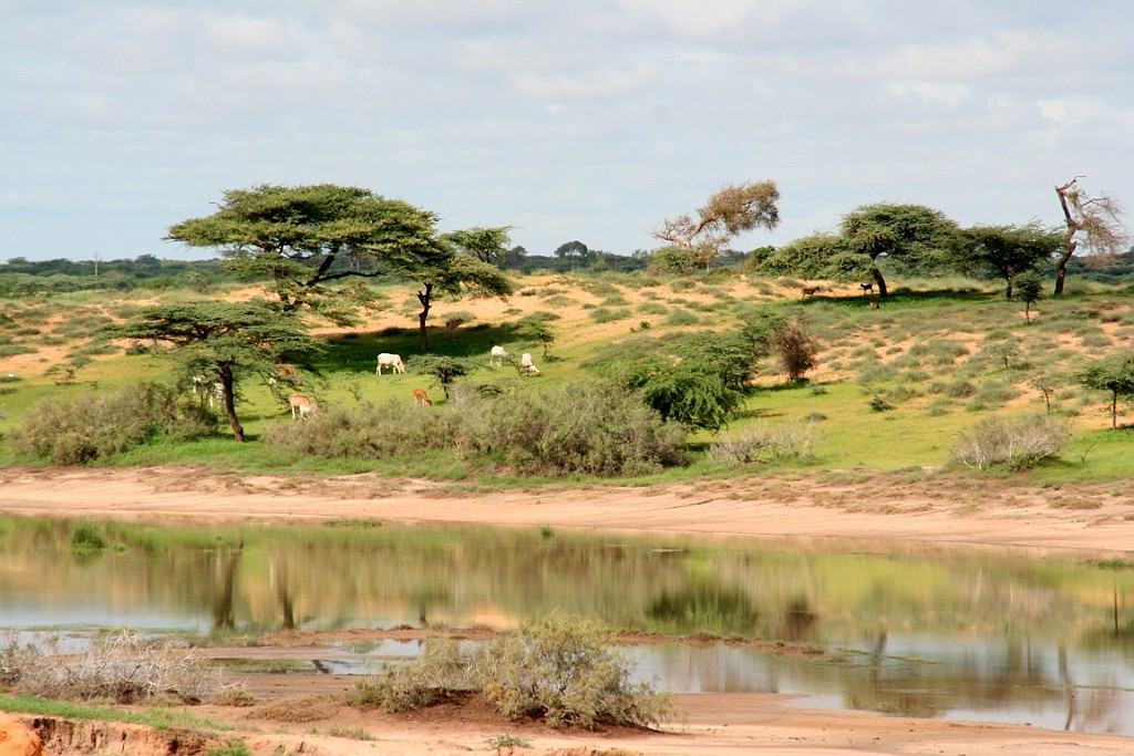 Senegal172.JPG