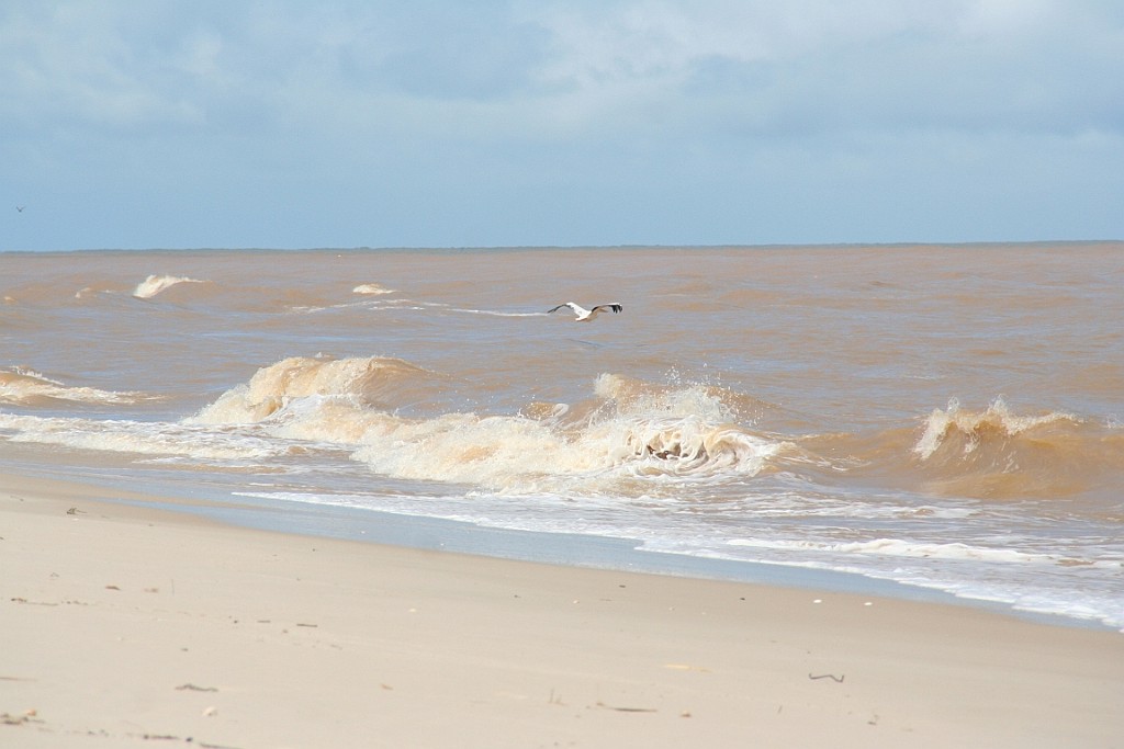 Senegal211.JPG