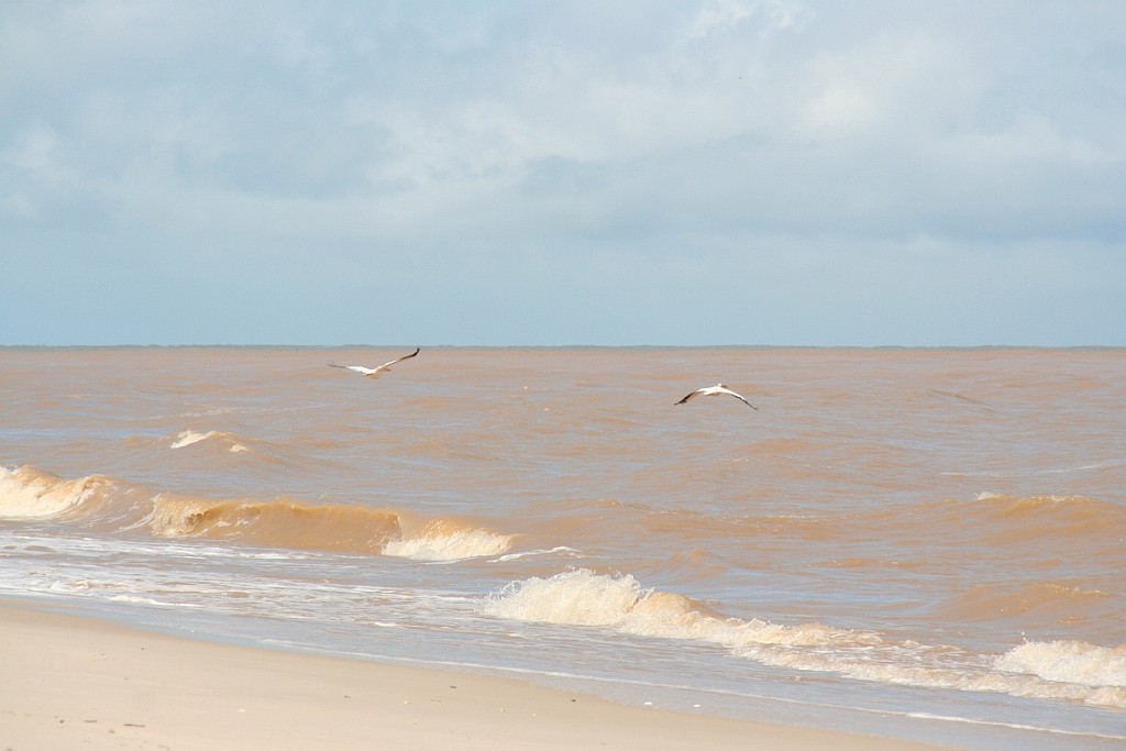 Senegal212.JPG