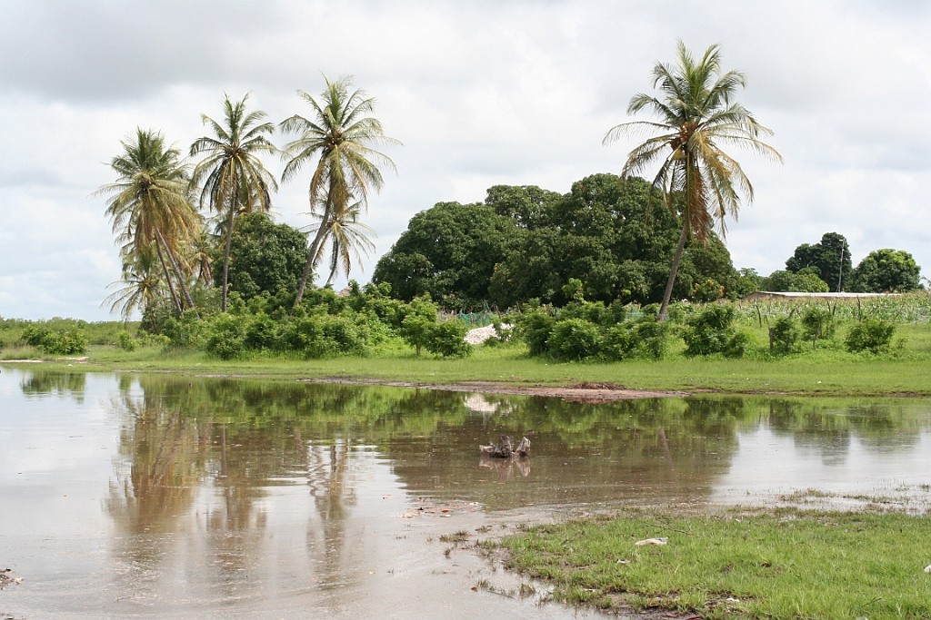 Senegal247.JPG