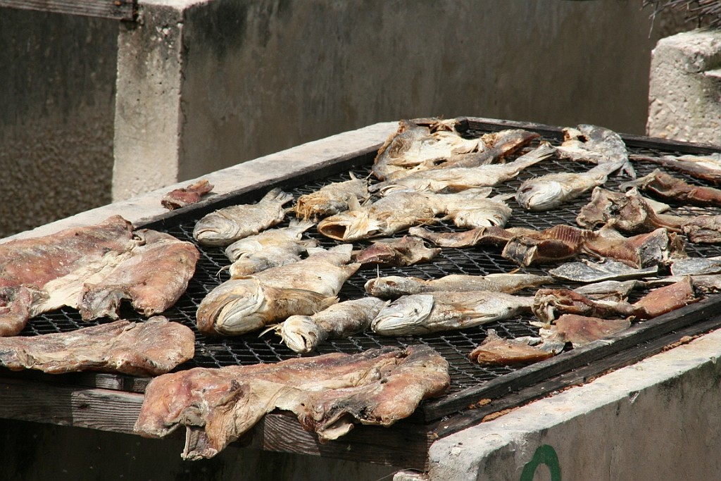 Senegal256.JPG