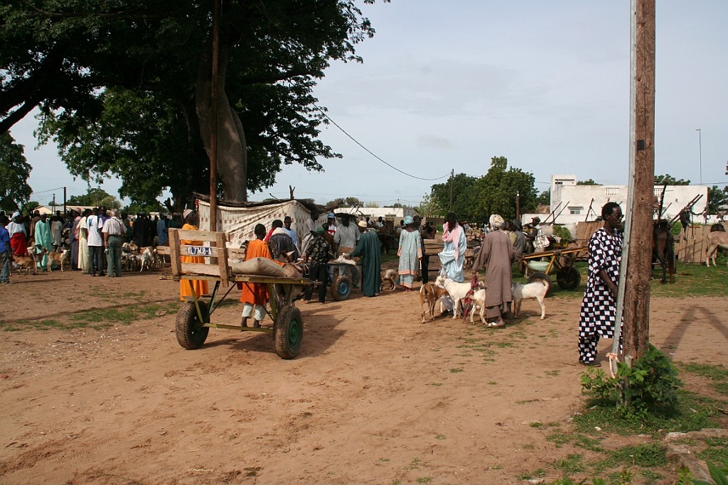 Senegal301.JPG