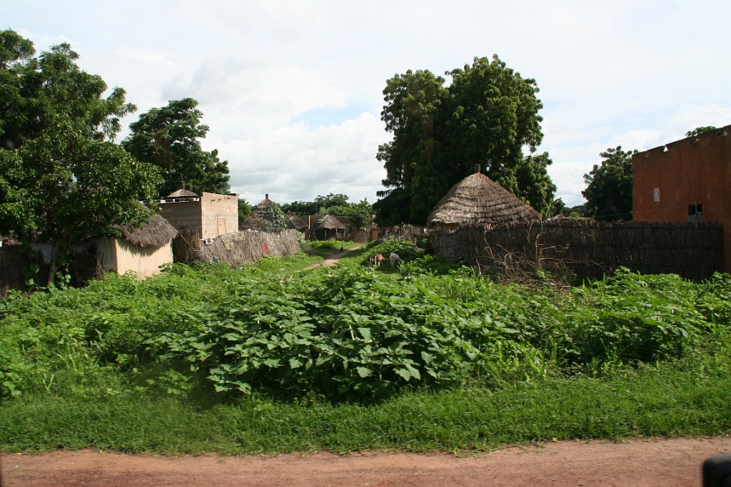 Senegal308.JPG