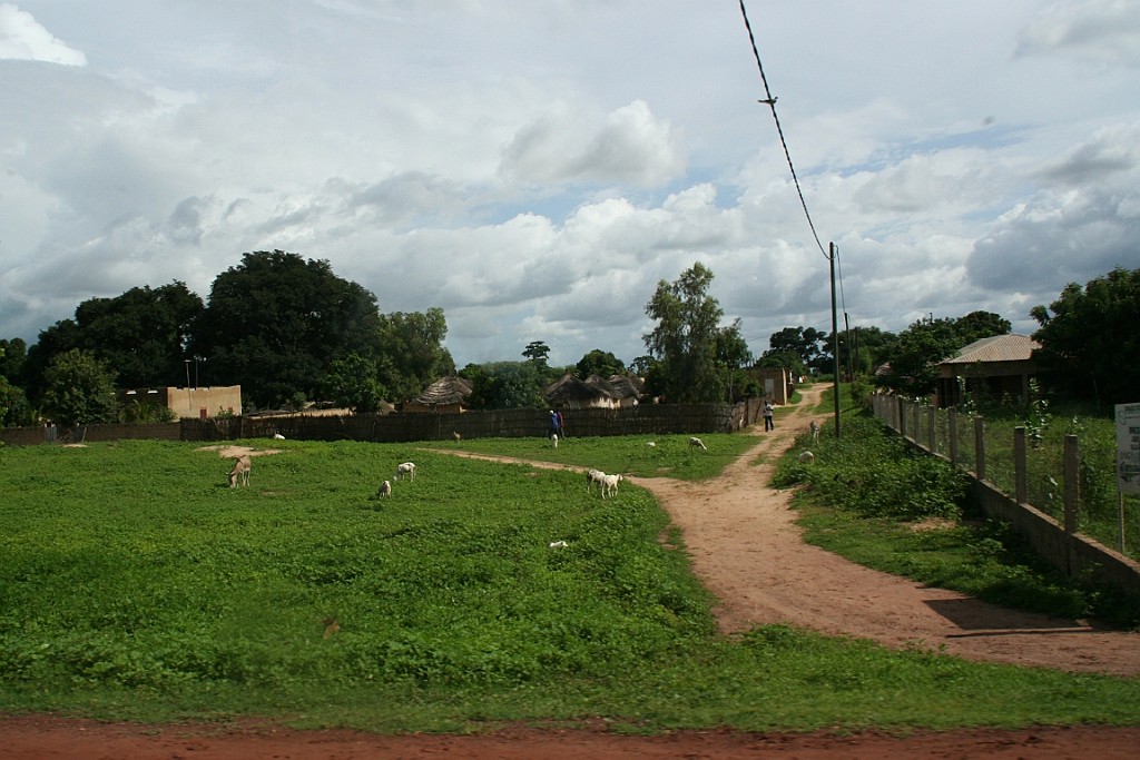 Senegal310.JPG