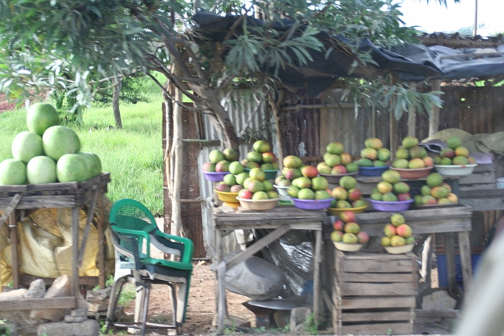 Senegal346.JPG - Verser kan je ze niet vinden