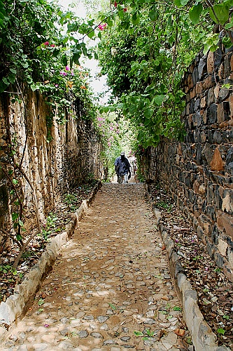 Senegal067