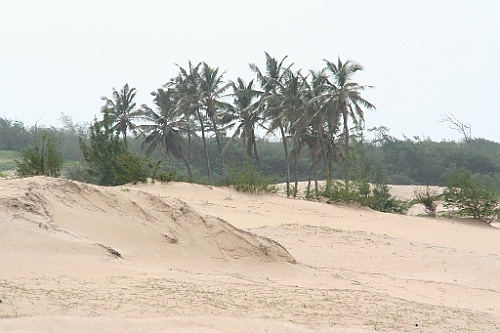 Senegal093