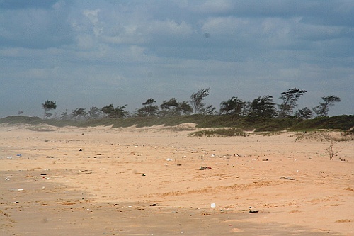 Senegal097