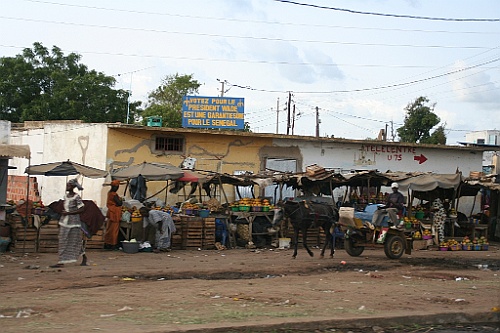 Senegal105