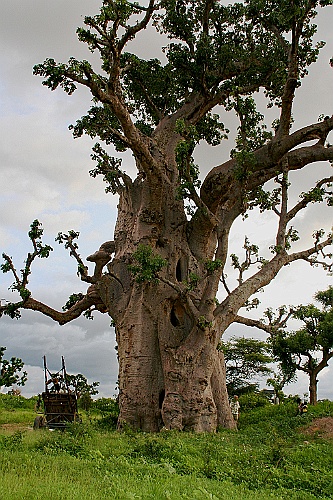 Senegal107