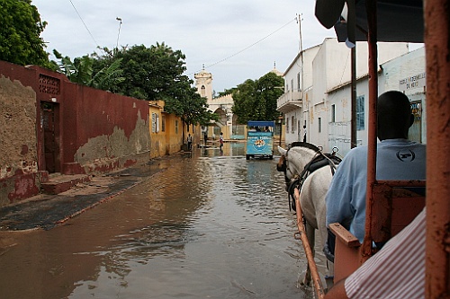 Senegal118