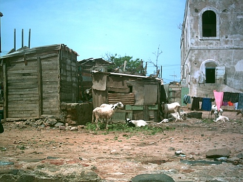 Senegal146