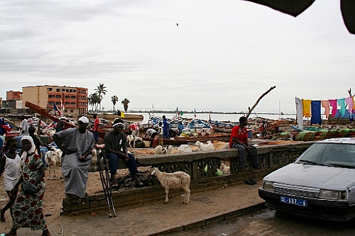 Senegal149