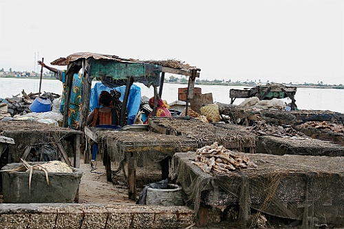 Senegal155