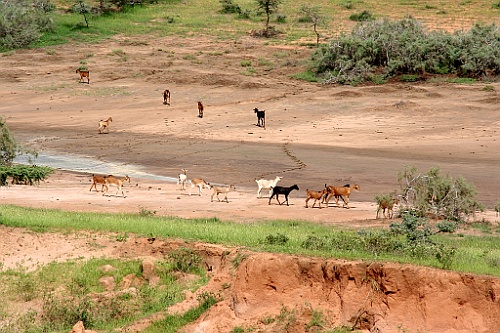 Senegal171