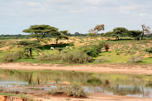 Senegal172