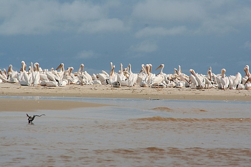 Senegal202