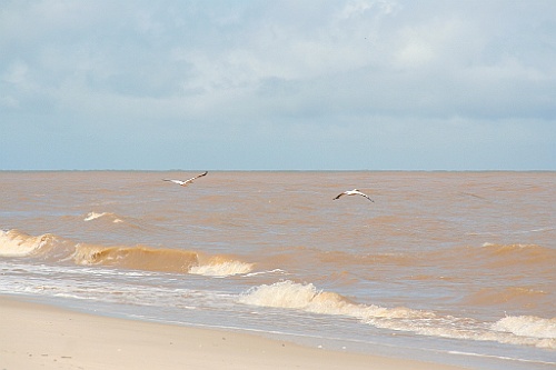 Senegal212