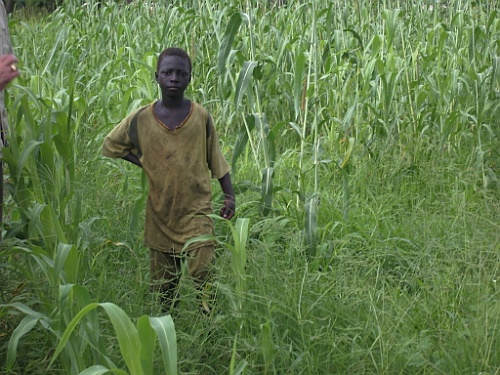 Senegal240
