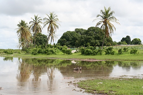 Senegal247
