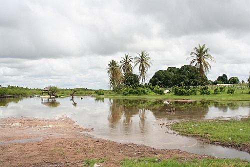Senegal248