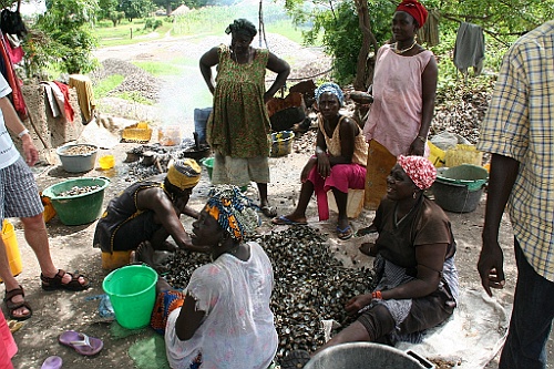 Senegal251