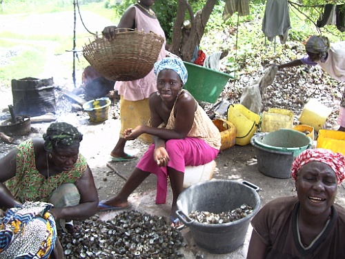 Senegal253