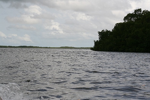 Senegal266