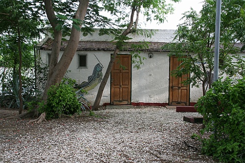 Senegal274