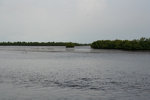 Senegal276