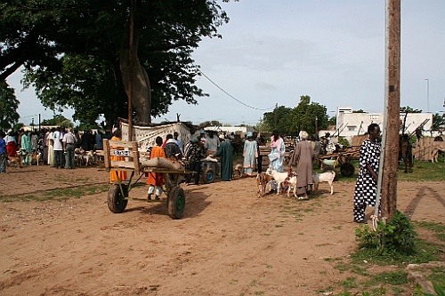 Senegal301
