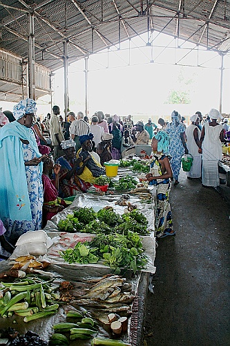 Senegal303
