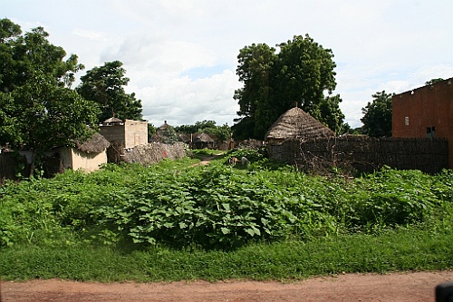 Senegal308