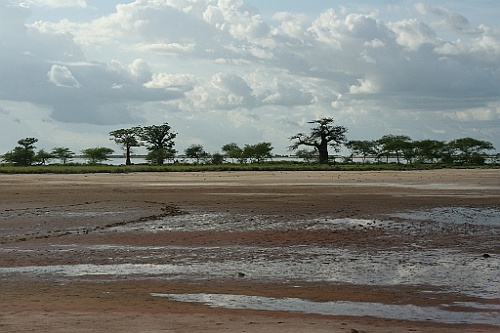 Senegal318
