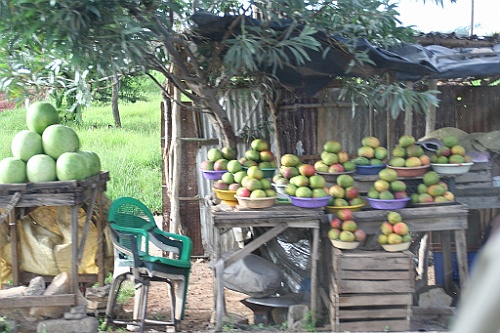 Senegal346