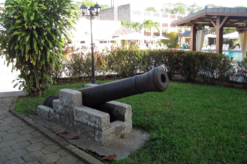 Suri019.jpg