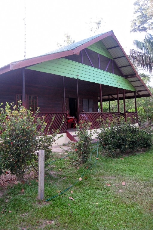 Suri262.jpg