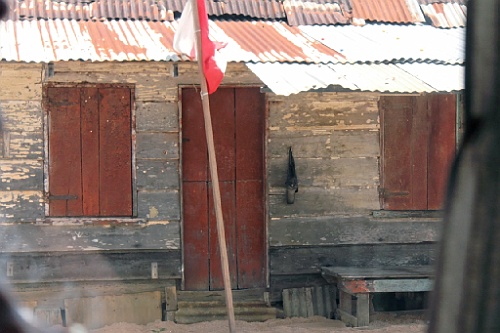 Suri157