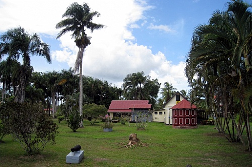 Suri191