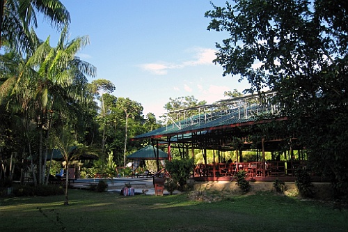 Suri241