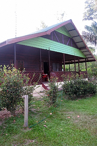 Suri262