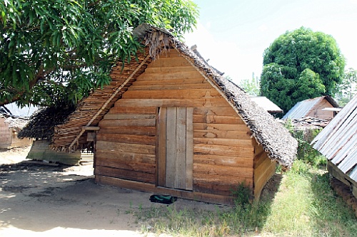 Suri310