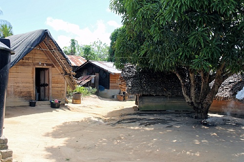 Suri311