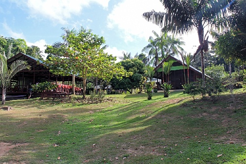 Suri415
