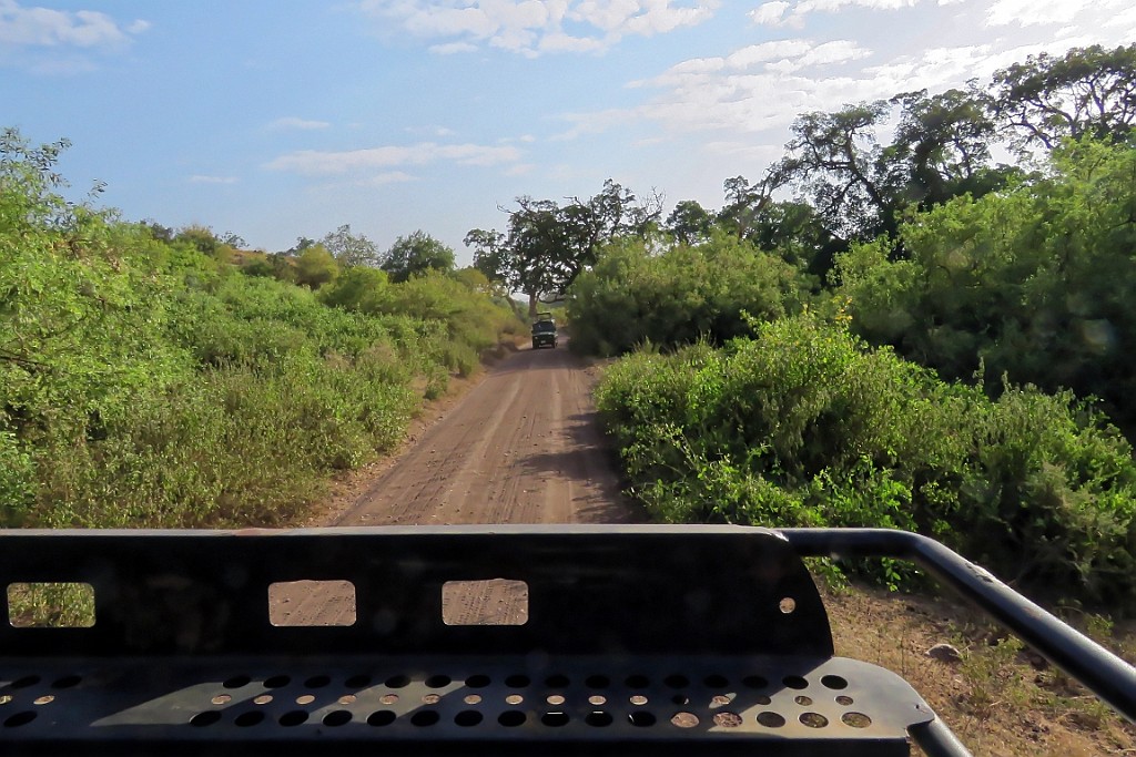 TaZa (102).jpg
