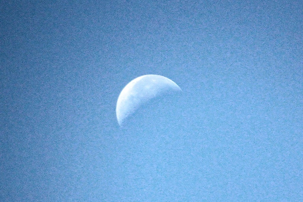 TaZa (144).jpg