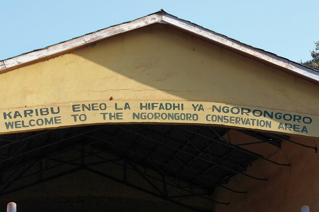 TaZa (209).jpg
